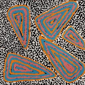Ngapa Jukurrpa (Water Dreaming)  - Mikanji by Juliette Nampijinpa Brown