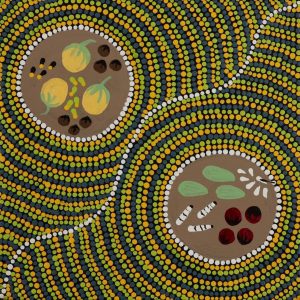 Ngatijirri Jukurrpa (Budgerigar Dreaming) by Wendy Napaljarri Kitson