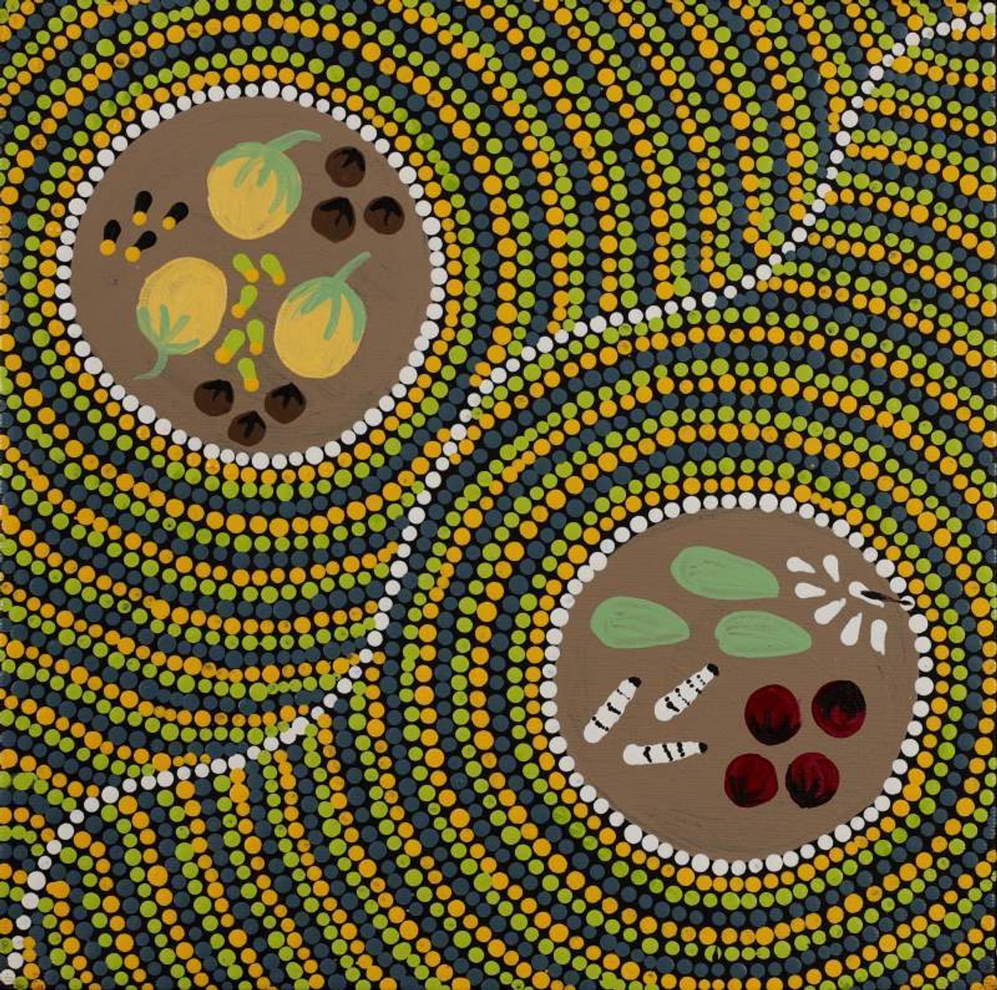 Ngatijirri Jukurrpa (Budgerigar Dreaming) by Wendy Napaljarri Kitson