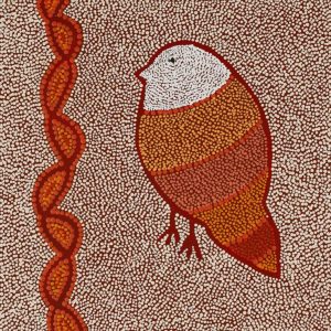 Ngalyipi Jukurrpa (Snakevine Dreaming) - Mina Mina by Geraldine Napangardi Granites by Geraldine Napangardi Granites
