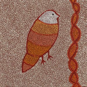 Ngalyipi Jukurrpa (Snakevine Dreaming) - Mina Mina by Geraldine Napangardi Granites by Geraldine Napangardi Granites