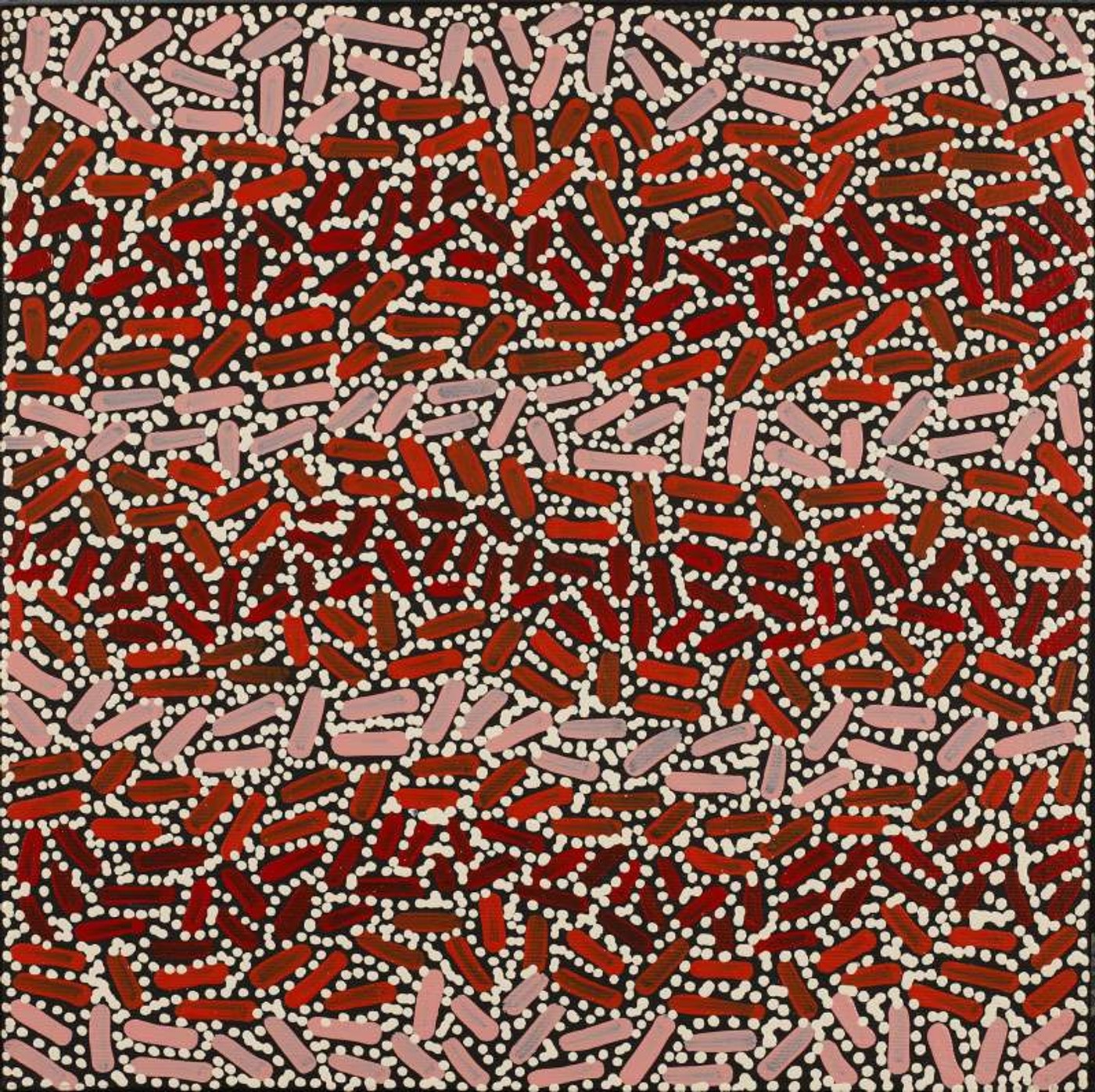 Warlukurlangu Jukurrpa (Fire country Dreaming) by Nathania Nangala Granites