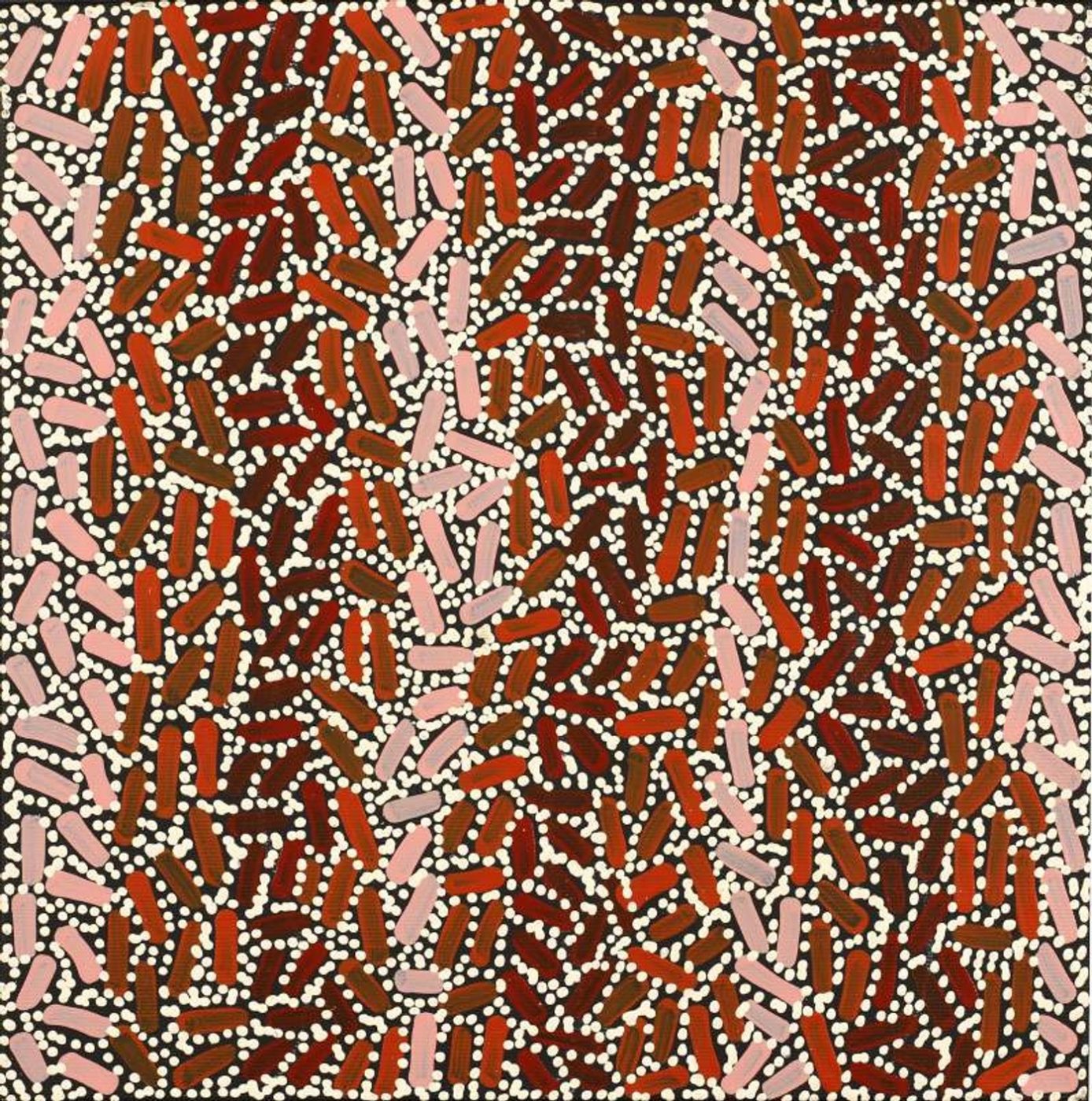 Warlukurlangu Jukurrpa (Fire country Dreaming) by Nathania Nangala Granites