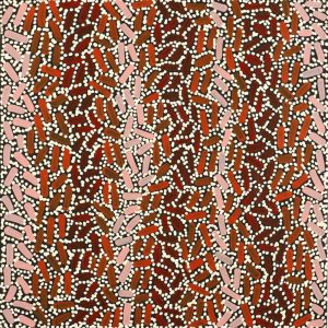 Warlukurlangu Jukurrpa (Fire country Dreaming) by Nathania Nangala Granites