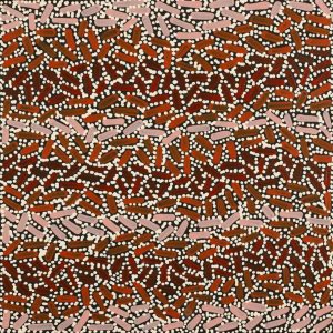 Warlukurlangu Jukurrpa (Fire country Dreaming) by Nathania Nangala Granites