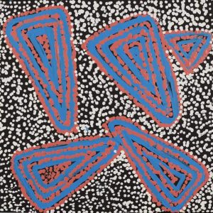 Ngapa Jukurrpa (Water Dreaming)  - Mikanji by Juliette Nampijinpa Brown