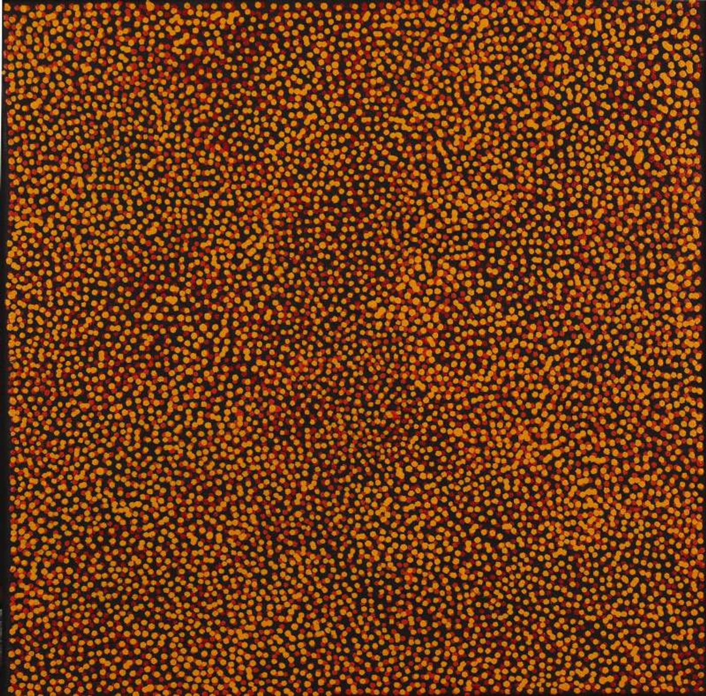 Ngapa Jukurrpa (Water Dreaming) - Puyurru by Krishana Petrick