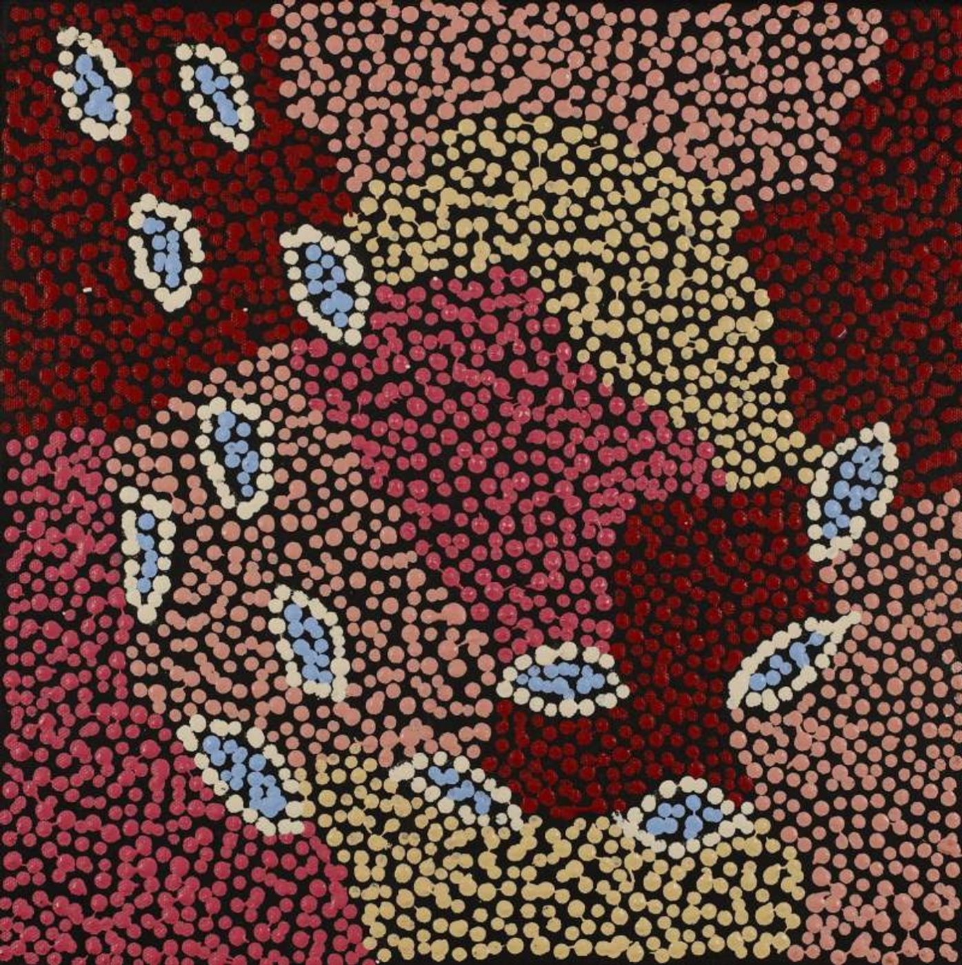 Yuparli Jukurrpa (Bush Banana Dreaming) by Marita Napanangka Marshall
