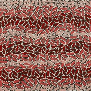 Warlukurlangu Jukurrpa (Fire country Dreaming) by Nathania Nangala Granites