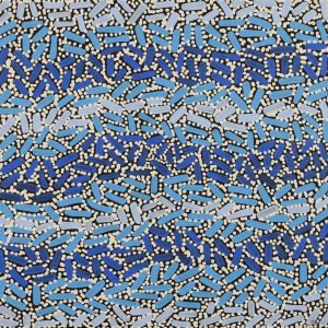 Warlukurlangu Jukurrpa (Fire country Dreaming) by Nathania Nangala Granites