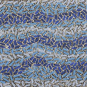 Warlukurlangu Jukurrpa (Fire country Dreaming) by Nathania Nangala Granites