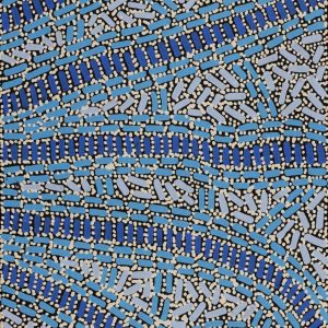 Warlukurlangu Jukurrpa (Fire country Dreaming) by Nathania Nangala Granites