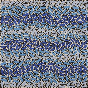 Warlukurlangu Jukurrpa (Fire country Dreaming) by Nathania Nangala Granites