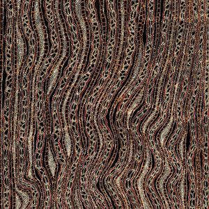 Ngapa Jukurrpa (Water Dreaming)  -  Pirlinyarnu by Sabrina Nangala Robertson