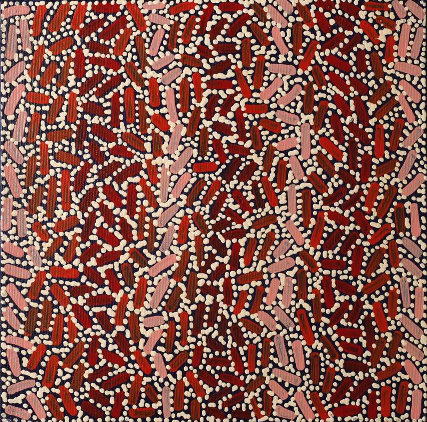Warlukurlangu Jukurrpa (Fire country Dreaming) by Nathania Nangala Granites