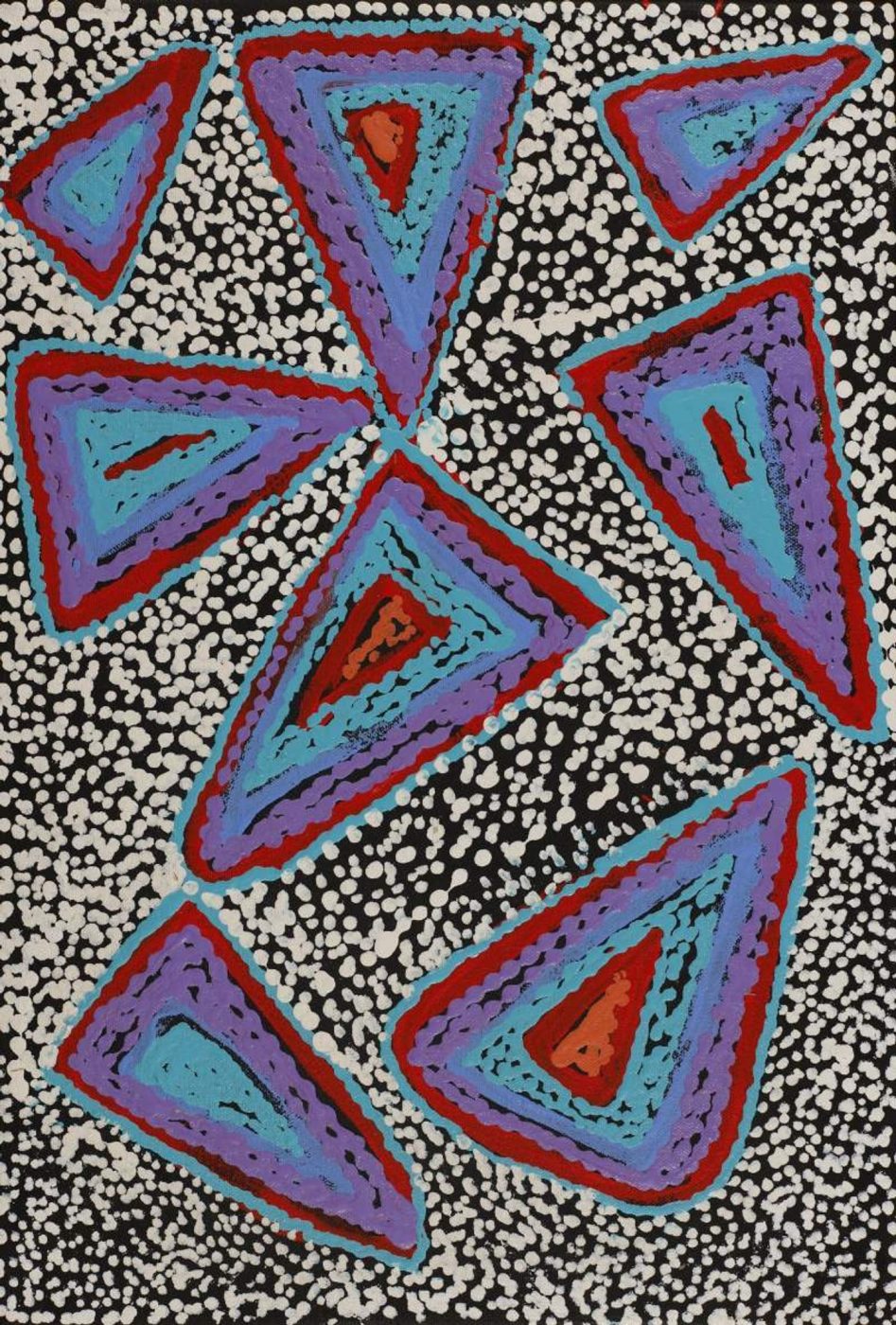Ngapa Jukurrpa (Water Dreaming) - Mikanji by Juliette Nampijinpa Brown