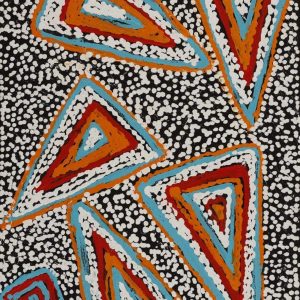 Ngapa Jukurrpa (Water Dreaming)  - Mikanji by Juliette Nampijinpa Brown