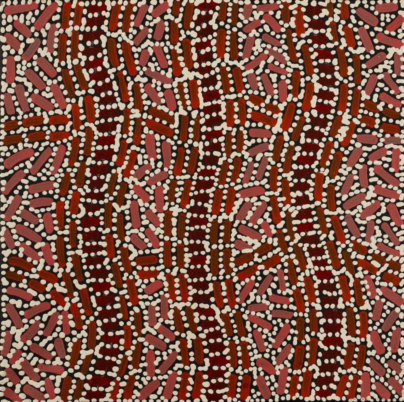 Warlukurlangu Jukurrpa (Fire country Dreaming) by Nathania Nangala Granites