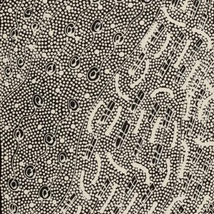 Pikilyi Jukurrpa (Vaughan Springs Dreaming) by Mary Napangardi Butcher