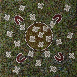 Ngatijirri Jukurrpa (Budgerigar Dreaming) by Wendy Napaljarri Kitson