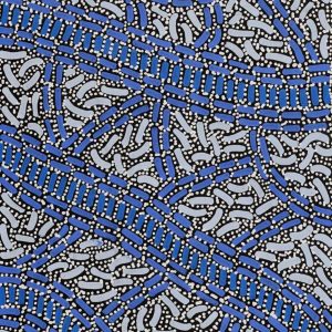 Warlukurlangu Jukurrpa (Fire country Dreaming) by Nathania Nangala Granites