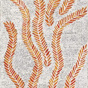 Karnta Jukurrpa (Women's Dreaming) - Bush Medicine by Patricia Nakamarra Oldfield