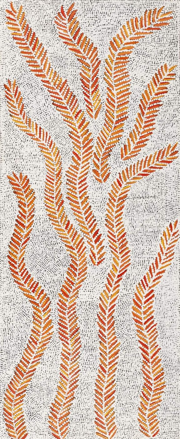 Karnta Jukurrpa (Women's Dreaming) - Bush Medicine by Patricia Nakamarra Oldfield
