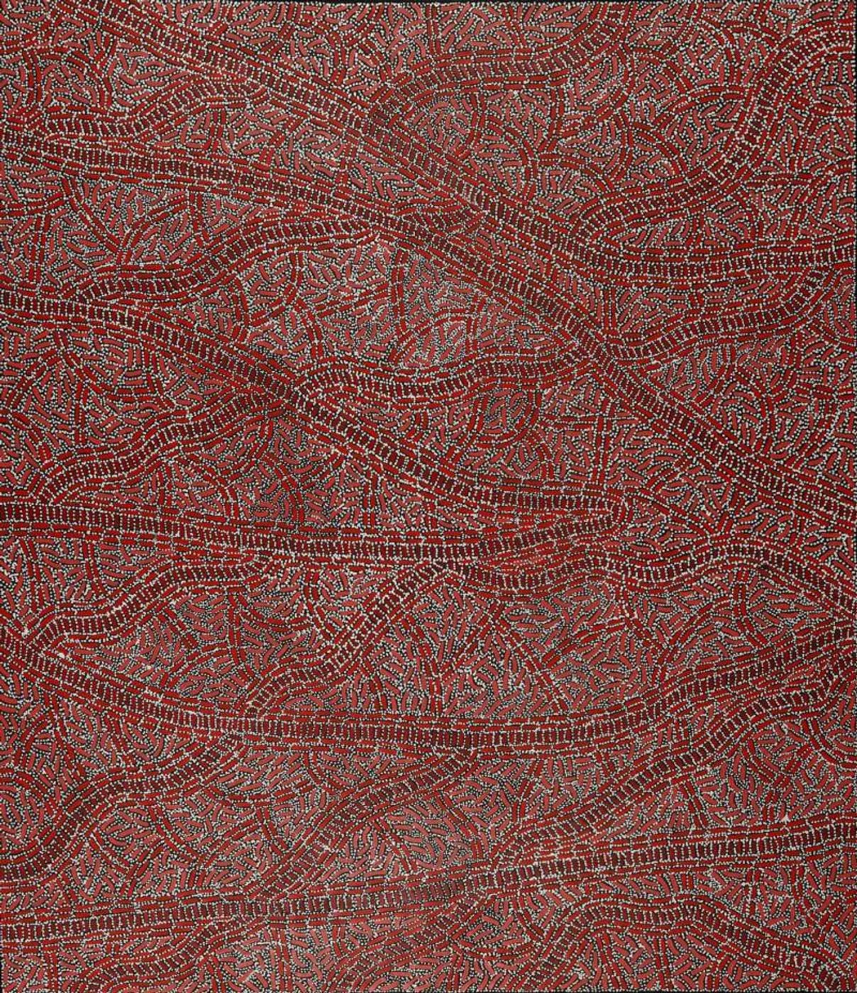 Warlukurlangu Jukurrpa (Fire country Dreaming) by Nathania Nangala Granites