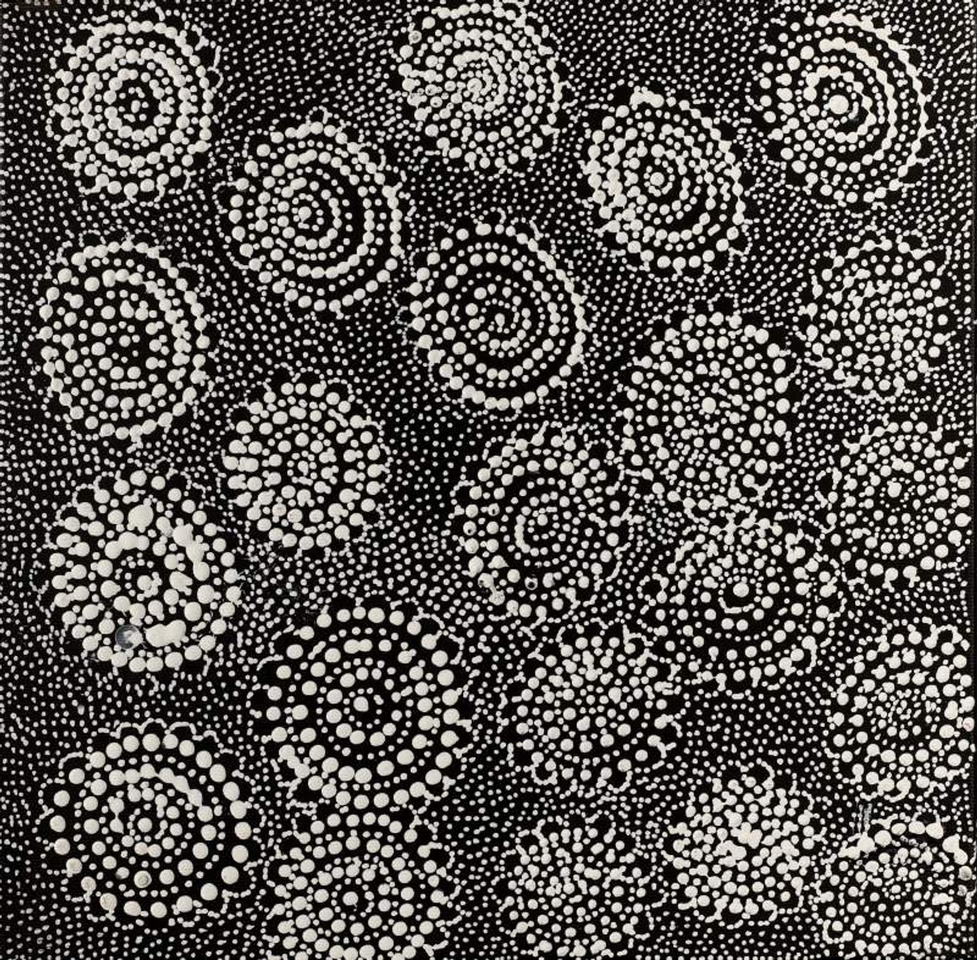 Ngapa Jukurrpa (Water Dreaming) - Mikanji by Lola Nampijinpa Brown