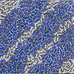 Warlukurlangu Jukurrpa (Fire country Dreaming) by Nathania Nangala Granites