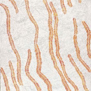Karnta Jukurrpa (Women's Dreaming) - Bush Medicine by Patricia Nakamarra Oldfield