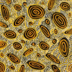 Jintiparnta Jukurrpa (Desert Truffle Dreaming) - Mina Mina by Cherylyn Napangardi Granites
