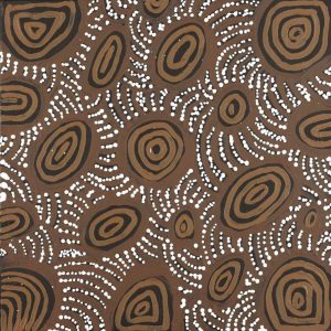 Jintiparnta Jukurrpa (Desert Truffle Dreaming) - Mina Mina by Cherylyn Napangardi Granites