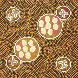 Ngatijirri Jukurrpa (Budgerigar Dreaming) by Wendy Napaljarri Kitson