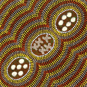 Ngatijirri Jukurrpa (Budgerigar Dreaming) by Wendy Napaljarri Kitson