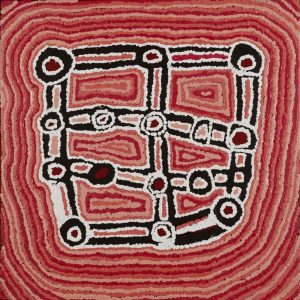 Ngapa Jukurrpa (Water Dreaming)  -  Puyurru by Simone Nampijinpa Brown