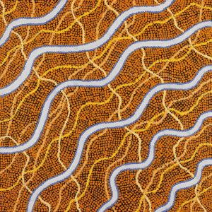 Warna Jukurrpa (Snake Dreaming) by Danilda Nakamarra White