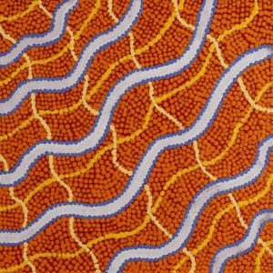 Warna Jukurrpa (Snake Dreaming) by Danilda Nakamarra White